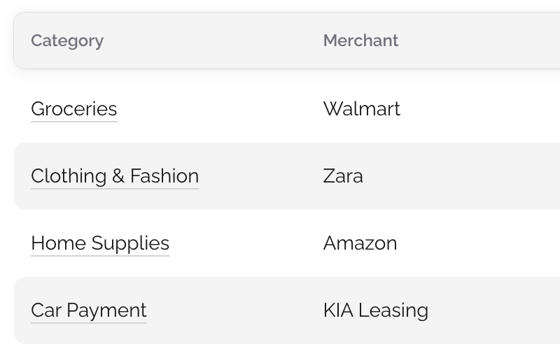 Your Expenses Organized Your Expenses Organized